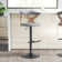 Betuel Swivel Upholstered Adjustable Height Counter Stool with Metal Frame