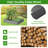 Srihaas Planter Box
