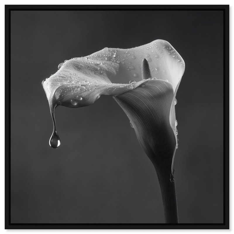 Midnight Rain Print by Oliver Gal, 21"H x 21"W, Black Floater Frame