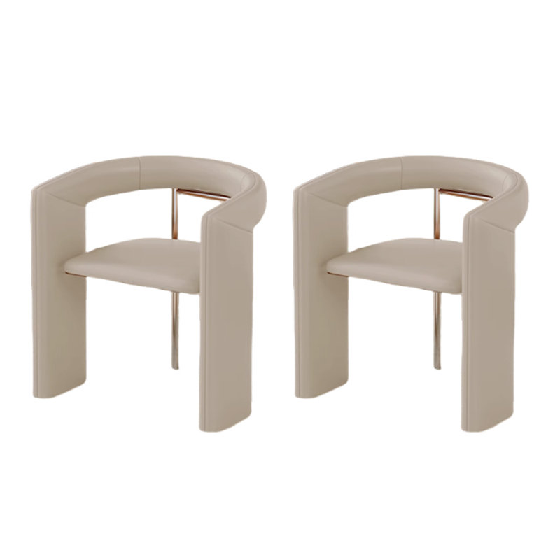 Modern Comfortable Texture Sponge Dining Chairs, Light Gray