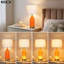Ensemble de 2 lampes de table modernes avec ports USB A + C et prise de courant CA, veilleuse à commande tactile à intensité variable à 3 voies, lampes de chevet pour le bureau de la chambre à coucher (ampoules incluses)