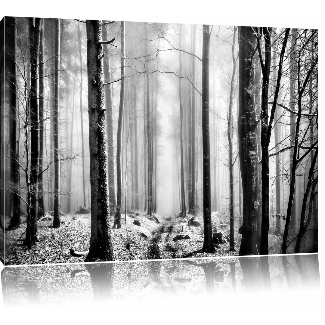 Leinwandbild Mystischer Wald in Monochrom