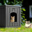 Cat House-95857277