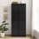 Quartus 72'' Kitchen Pantry