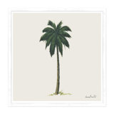 Palm Print