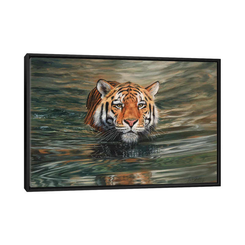 «Tiger Water Front» par David Stribble, impression sur toile tendue, H 18 po x l 26 po x P 1,5 po, Toile avec cadre noir