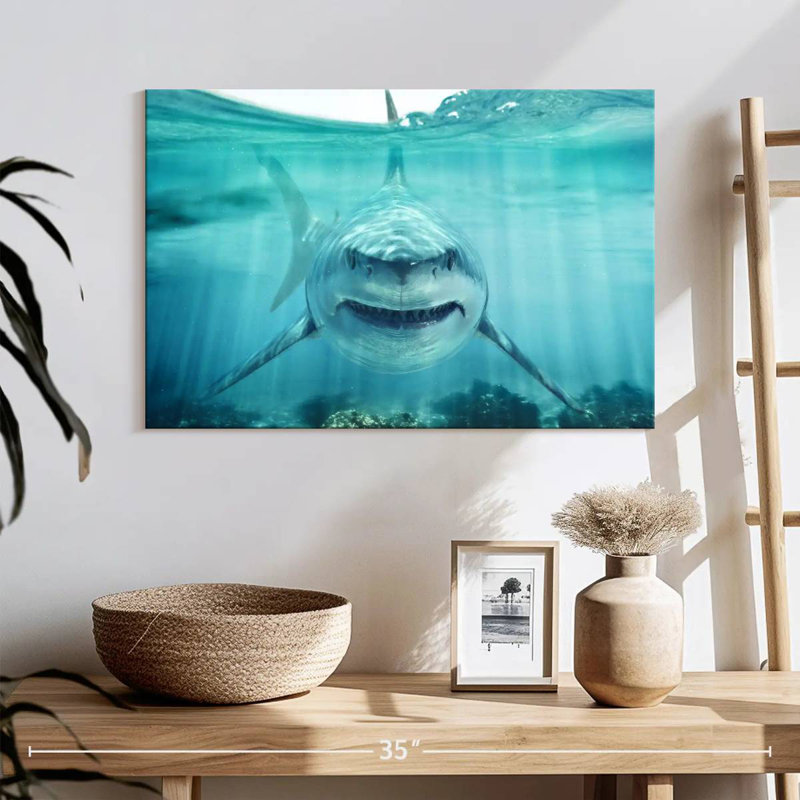 Brampt Predatory White Shark, 16" H x 24" W