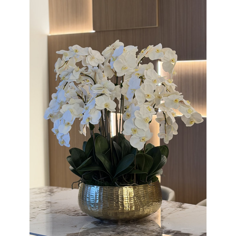 Roberi bowl with multiple stems of white Phalaenopsis orchids, White, 38" H x 22" W x 22" D