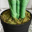 125cm Faux Palm Plant in Freestanding
