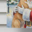 Boxer avec le drapeau de la maison du Père Noël-1699868938-1699868954