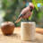 Animals Statuette