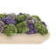 Sedum Arrangement in a Rectangular Wood Planter-1272903827