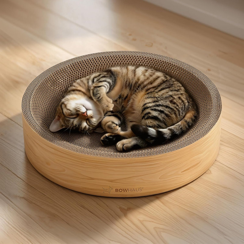 Lit rond à griffer pour chat, salon à griffes en carton, bol à chat réversible pour chats d'intérieur, planche à gratter durable pour chat, coussin de chaise à griffer pour chat, protecteur de meuble