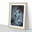 Fierce Lioness - Picture Frame Painting Print-56925186-56925190