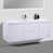 Blanc ultrabrillant est en rupture de stock