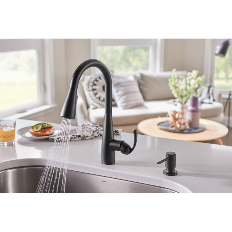 Moen Essie Pull-Down Kitchen Faucet with Power Clean Technology and Soap Dispenser, Matte Black