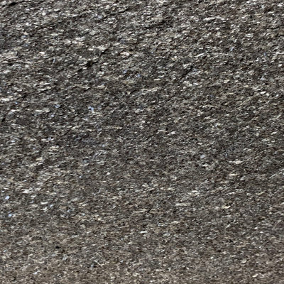 Galaxy Dust 2' x 4' Slate Tile