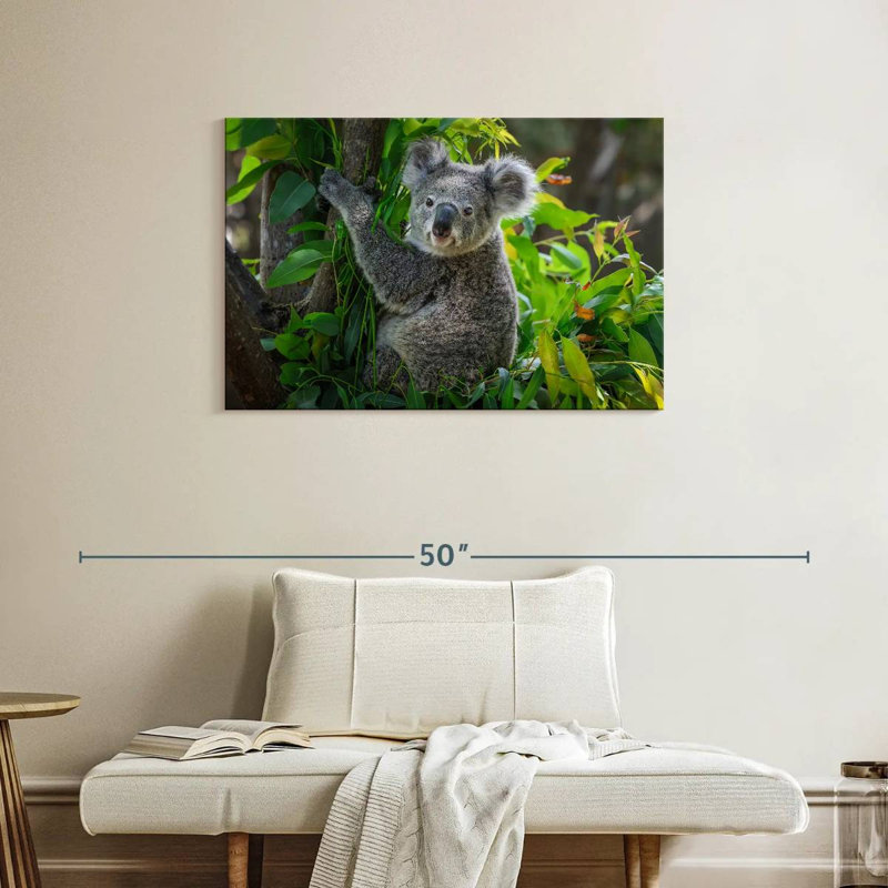 Cute Koala, 24" H x 36" W