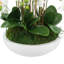 Orchid Arrangement in Round Fiberstone Pot-1233830116