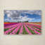 «Tulip Field», reproduction de photo sur toile tendue-1095274738