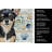 Black and Tan Chihuahua Coastal Sea Glass Kitchen Towel-871464243