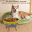 Bol pour chien surélevé 5,6 po-115632481