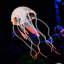 6pc Jellyfish Aquarium Decor Artificial Glowing Effect Fish Tank Ornament Diy