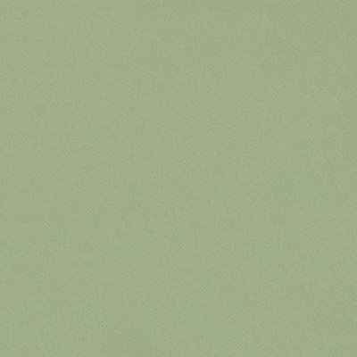 Blake Polished Cotton Fabric