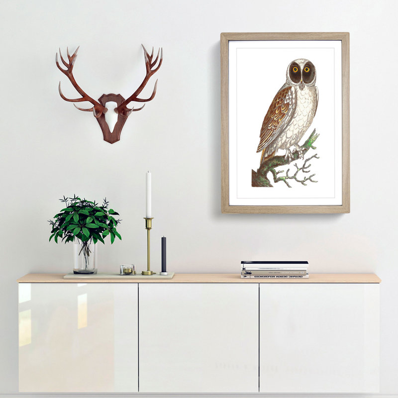 Masked Owl by George Shaw - Framed Print, 48cm H x 36cm W x 2cm D, Oak Framed