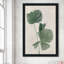 Palmier botanique III - Peinture-934732919-934732815