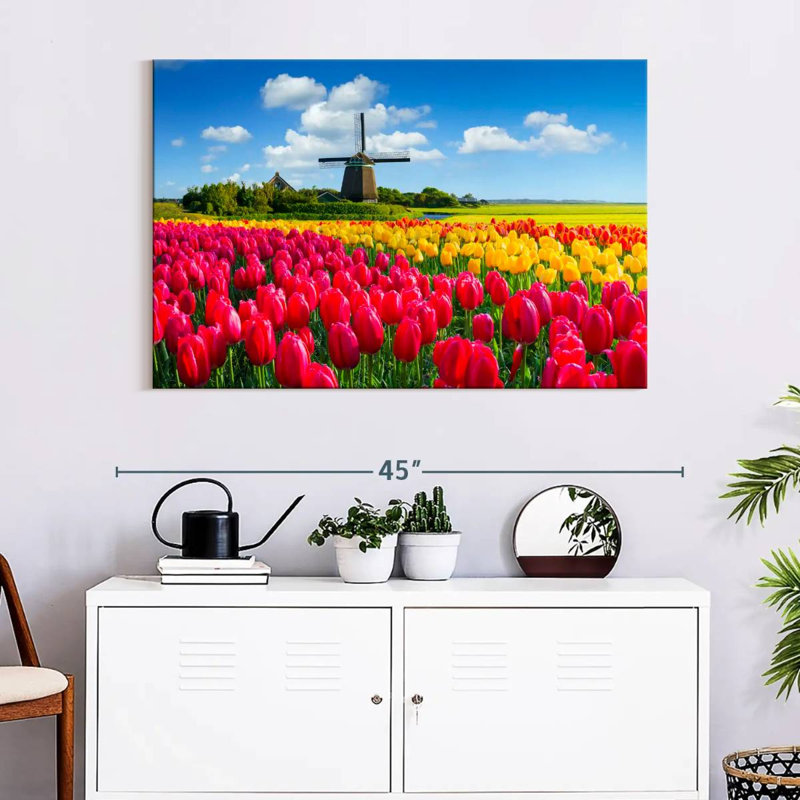 Champ de tulipes Alvord Holland, H 26 po x l 39 po