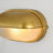 1-Light Transitional Oval Metal and Ribbed Glass Wall Sconce with Painted Gold Finish