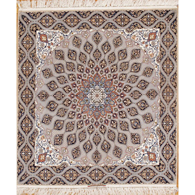 Shiori Oriental Area Rug in Gray