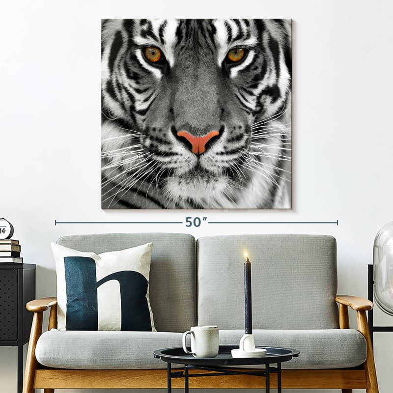 Brampt Staring Tiger, 33" H x 33" W