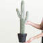 24,67 po Cactus artificiel Saguaro en pot noir - décor désertique réaliste, plante artificielle sans entretien pour la maison et le bureau