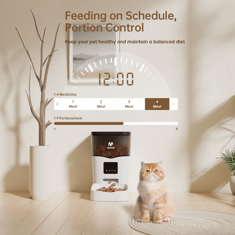 Automatic cat feeders