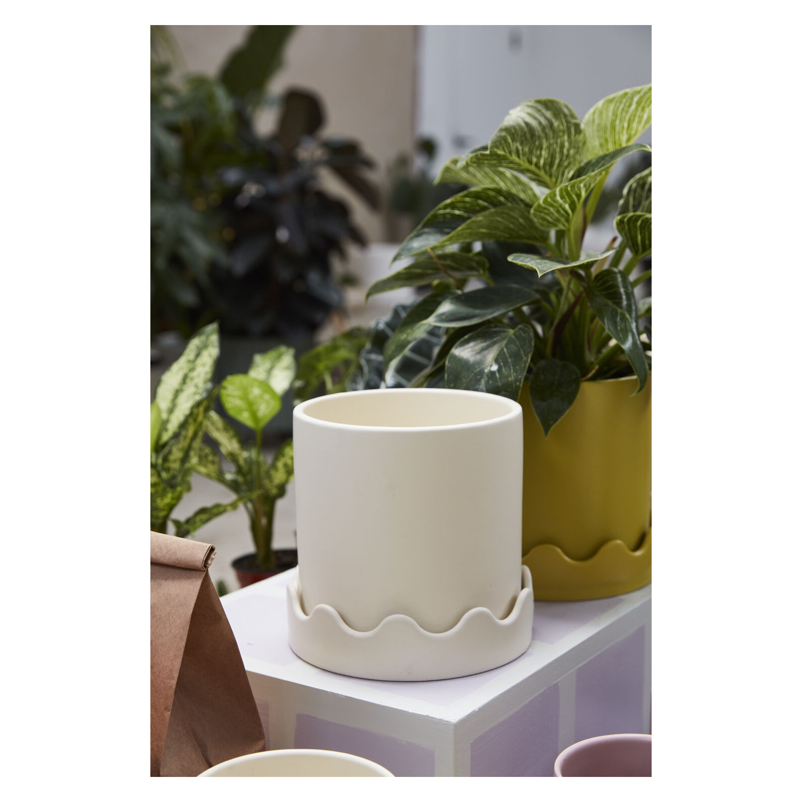 Winterview Pot with Saucer 7.5"x 7.25", 7.25" H x 7.5" W x 7.5" D, Beige