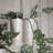 Mario Ceramic Pot Planter-388948789-388948786