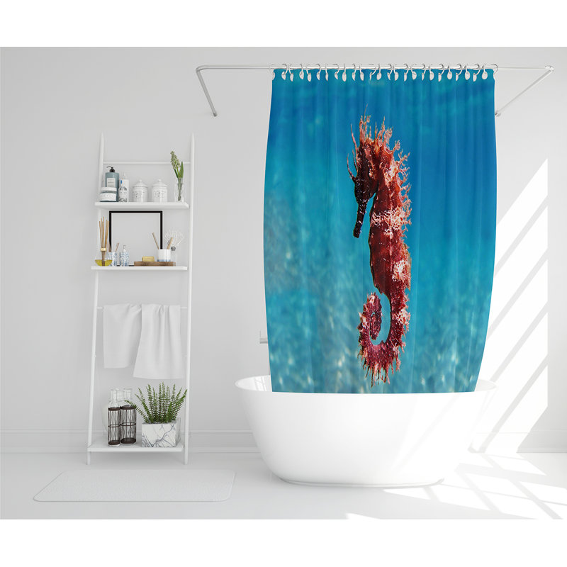 Eliz 13 Piece Polyester Shower Curtain Set