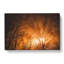 Sun Rays Through The Trees - Wrapped Canvas Print-61837691