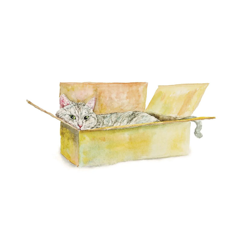«Tabby Cat In The Box» par Alexey Dmitetchich Shmyrov - reproduction, H 12 po x l 18 po x 1,5 po