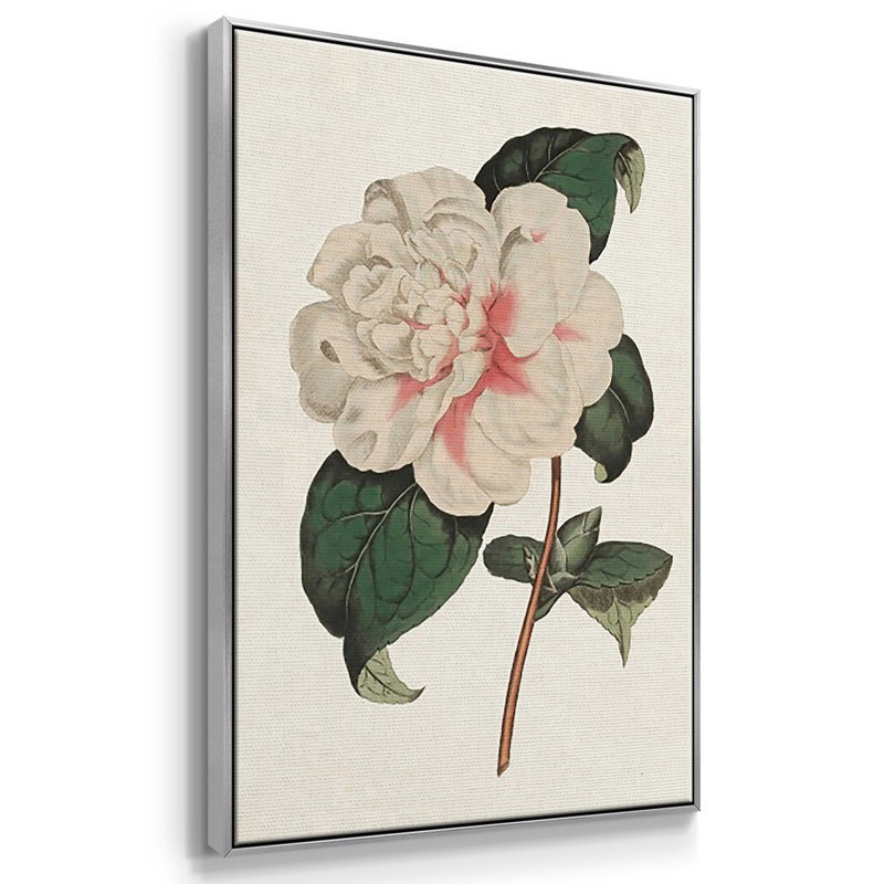 «Pink Floral Mix VI», ensemble de 3 cadres flottants sur toile, Argent, H 36 po x l 72 po