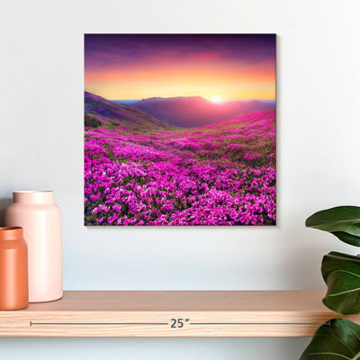 Alvord Rhododendron Flower Field