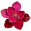Elegant Glitter Magnolia, Set Of 12 – 4.5 Inches-566384317