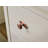 1.2'' Diameter Circle Knob With Backplate（G013） Multipack-124237356