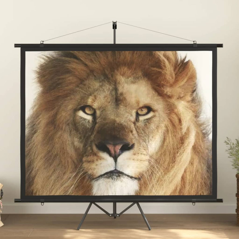Bolingbrook White Portable Tripod Projector Screen, 63.78" H x 81.89" W