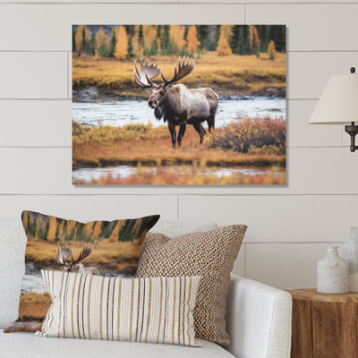Orignal dans un paysage de l'Alaska I