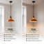 Rosado 1 - Light Pendant-1193506836