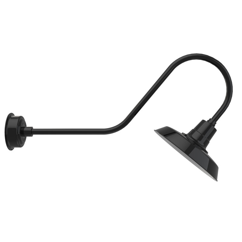 Luminaire de grange d’extérieur à del Haleigh, H 12 po x l 14 po x P 36 po, Noir