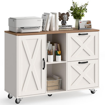 Lateral File Cabinet With 2 Drawers And Door by Ophelia & Co.